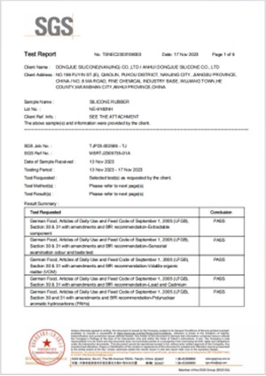 BSCI Social Responsibility Audit Certificate